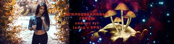 индика Арсеньев