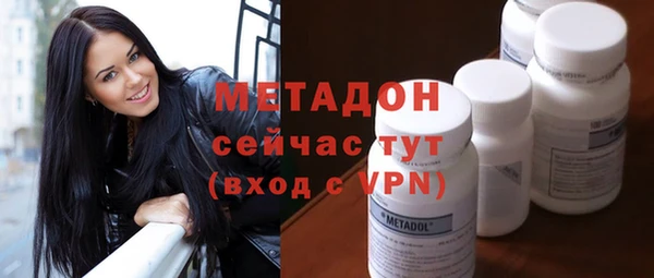индика Арсеньев