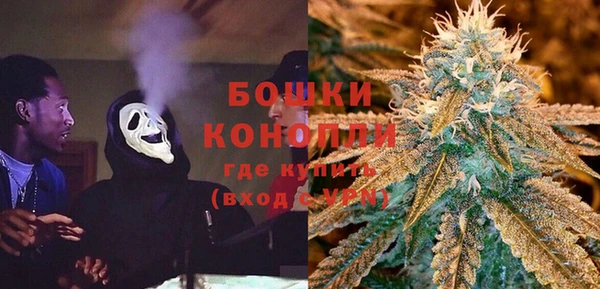 индика Арсеньев
