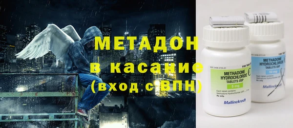 индика Арсеньев