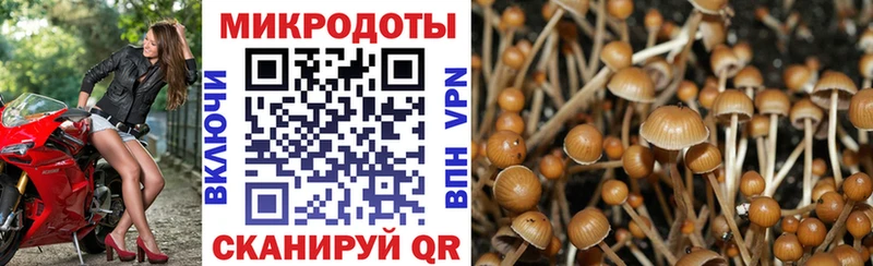 ссылка на мегу онион  Цивильск  Псилоцибиновые грибы Magic Shrooms 